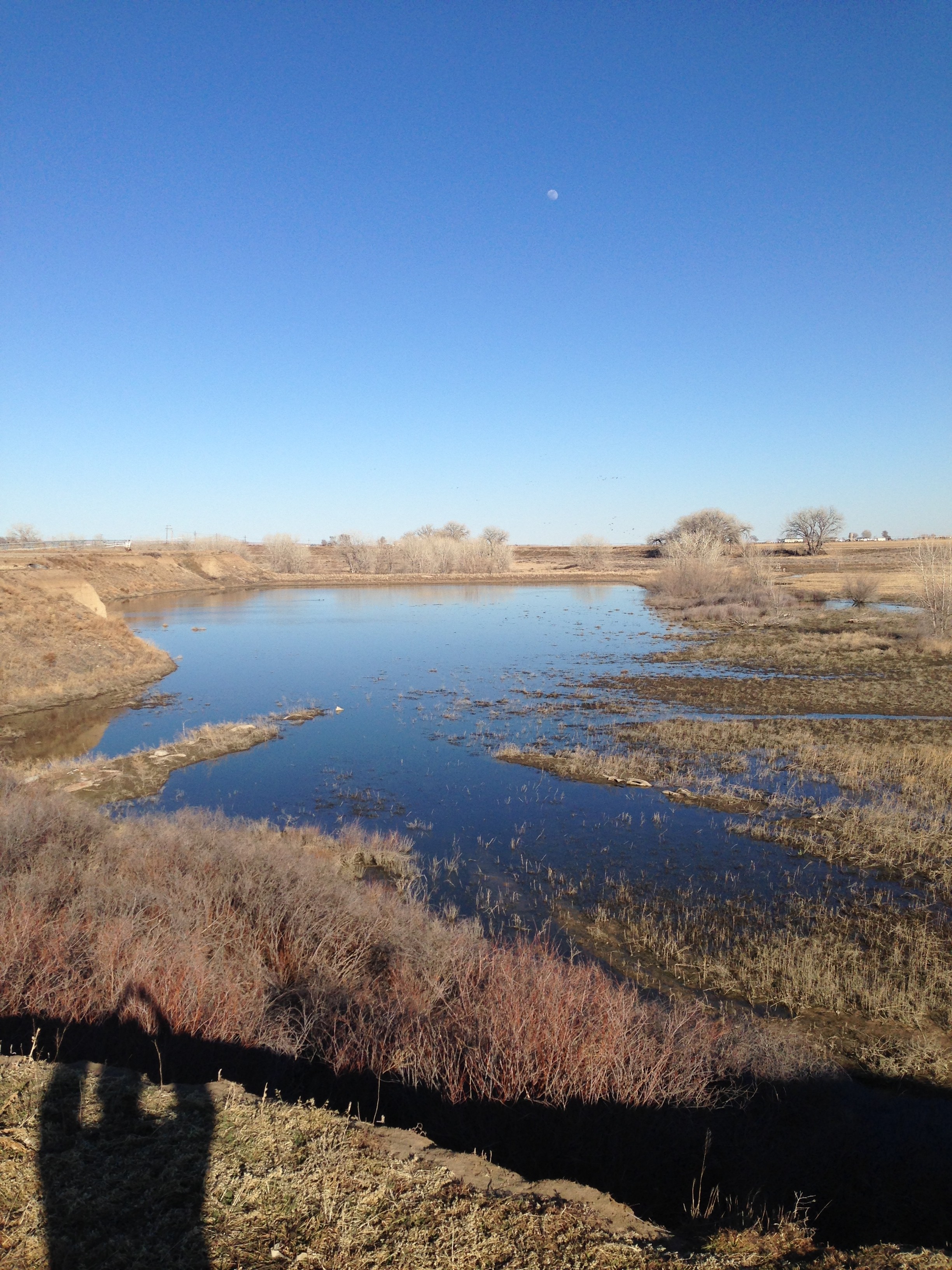 Epic Colorado Waterfowl Hunting: Gear, Tactics & More - j3wrlfg